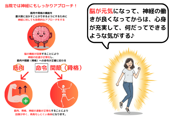 脳の機能が回復すれば神経、骨格、筋肉のポテンシャルが最大限発揮される